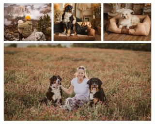 Já i s celým mým týmem Vám přejeme krásné Vánoce s těmi nejbližšími a hlavně zdraví v tom Novém roce. Děkuji všem za...